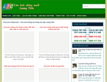 Tablet Screenshot of cualuoichongmuoi.com